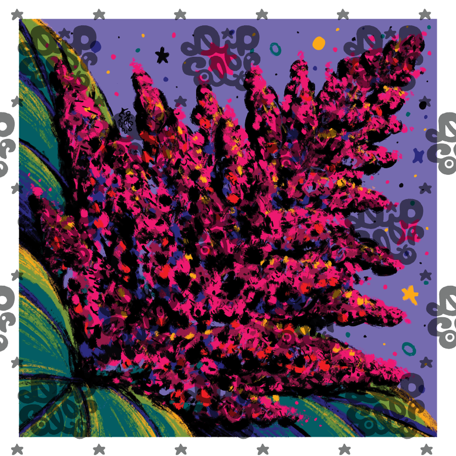 'Alegria Fuego'