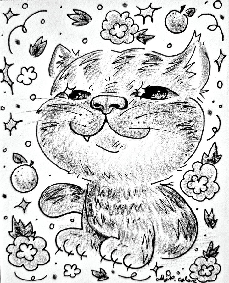 Ex. #2) Pet Drawing