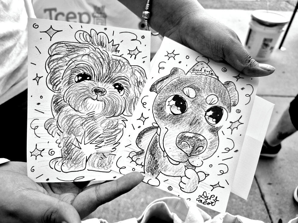 Ex. #3) Pet Drawing